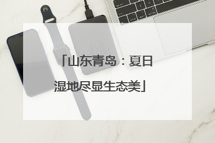 山东青岛：夏日湿地尽显生态美