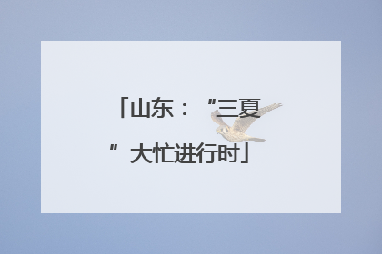 山东：“三夏”大忙进行时