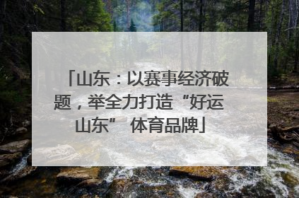 山东：以赛事经济破题，举全力打造“好运山东” 体育品牌