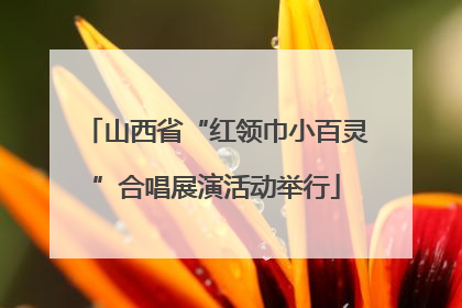 山西省“红领巾小百灵”合唱展演活动举行
