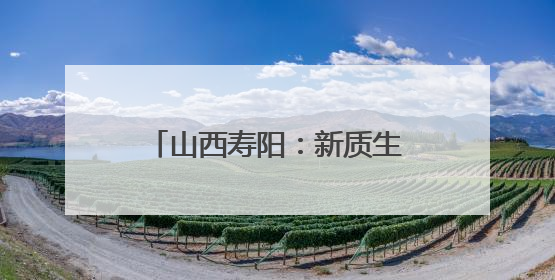 山西寿阳：新质生产力赋能绿色发展