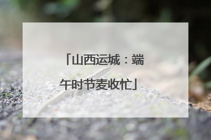 山西运城：端午时节麦收忙