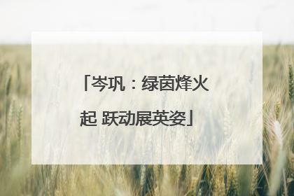 岑巩：绿茵烽火起 跃动展英姿