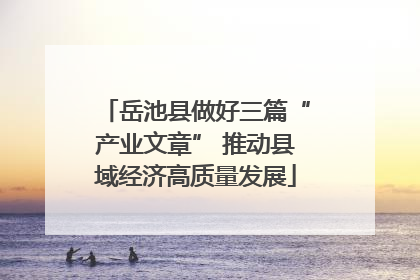 岳池县做好三篇“产业文章” 推动县域经济高质量发展