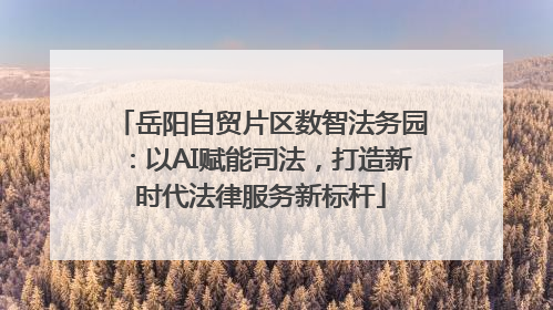 岳阳自贸片区数智法务园：以AI赋能司法，打造新时代法律服务新标杆