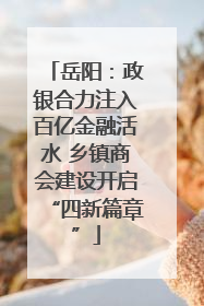 岳阳：政银合力注入百亿金融活水 乡镇商会建设开启“四新篇章”