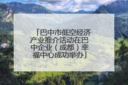 巴中市低空经济产业推介活动在巴中企业（成都）幸福中心成功举办