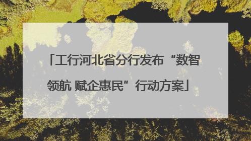 工行河北省分行发布“数智领航 赋企惠民”行动方案