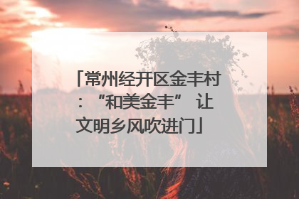 常州经开区金丰村：“和美金丰” 让文明乡风吹进门