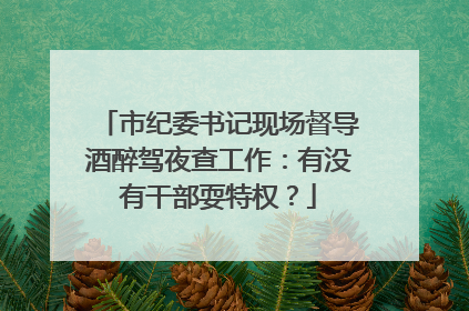 市纪委书记现场督导酒醉驾夜查工作：有没有干部耍特权？