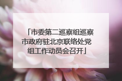 市委第二巡察组巡察市政府驻北京联络处党组工作动员会召开