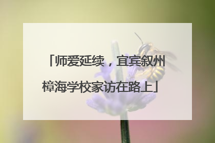 师爱延续，宜宾叙州樟海学校家访在路上