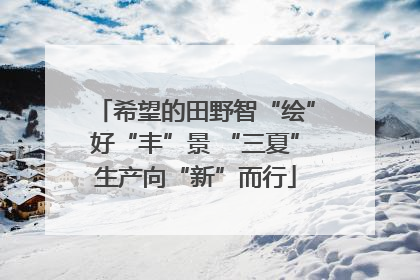 希望的田野智“绘”好“丰”景 “三夏”生产向“新”而行
