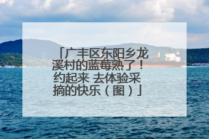 广丰区东阳乡龙溪村的蓝莓熟了！约起来 去体验采摘的快乐（图）