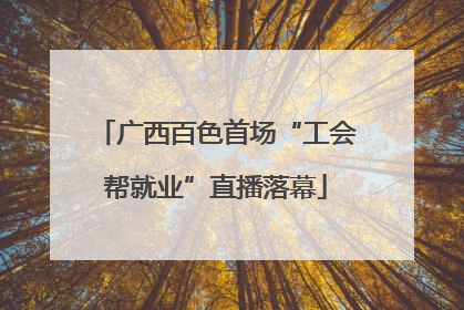 广西百色首场“工会帮就业”直播落幕