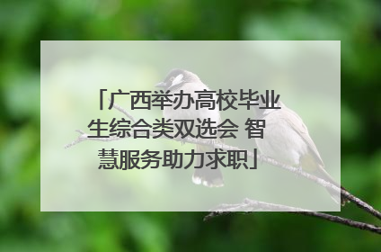 广西举办高校毕业生综合类双选会 智慧服务助力求职