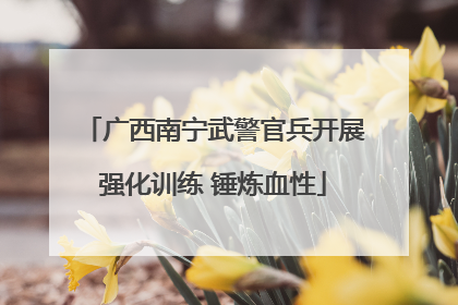 广西南宁武警官兵开展强化训练 锤炼血性