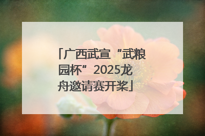 广西武宣“武粮园杯”2025龙舟邀请赛开桨