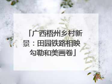 广西梧州乡村新景：田园铁路相映 勾勒和美画卷