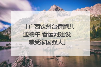 广西钦州台侨胞共迎端午 看运河建设感受家国强大