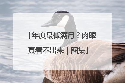 年度最低满月？肉眼真看不出来｜图集