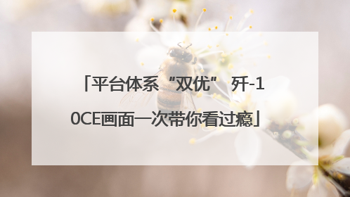 平台体系“双优” 歼-10CE画面一次带你看过瘾
