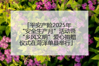 平安产险2025年“安全生产月”活动暨“乡风文明”爱心捐赠仪式在菏泽单县举行
