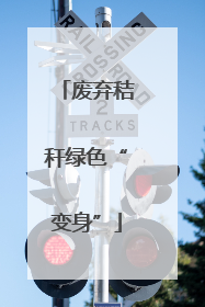 废弃秸秆绿色“变身”