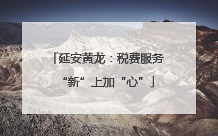 延安黄龙：税费服务“新”上加“心”