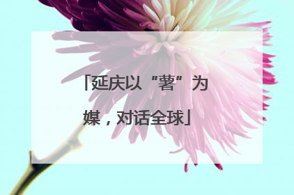 延庆以“薯”为媒，对话全球