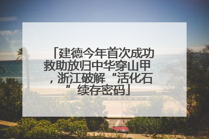 建德今年首次成功救助放归中华穿山甲，浙江破解“活化石”续存密码