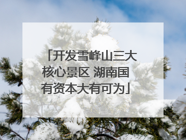 开发雪峰山三大核心景区 湖南国有资本大有可为