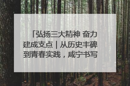 弘扬三大精神 奋力建成支点｜从历史丰碑到青春实践，咸宁书写精神传承新篇章