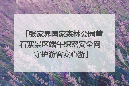 张家界国家森林公园黄石寨景区端午织密安全网 守护游客安心游