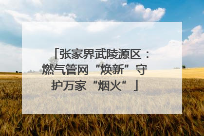 张家界武陵源区：燃气管网“焕新”守护万家“烟火”