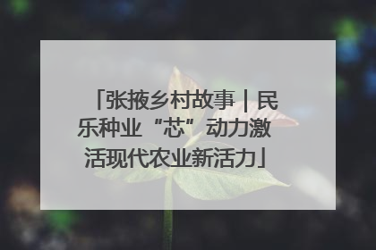 张掖乡村故事｜民乐种业“芯”动力激活现代农业新活力