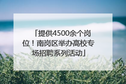 提供4500余个岗位！南岗区举办高校专场招聘系列活动