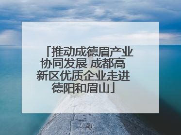 推动成德眉产业协同发展 成都高新区优质企业走进德阳和眉山