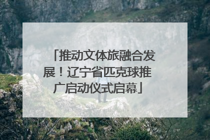 推动文体旅融合发展！辽宁省匹克球推广启动仪式启幕