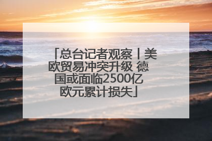 总台记者观察丨美欧贸易冲突升级 德国或面临2500亿欧元累计损失