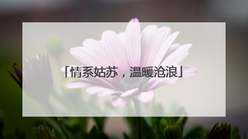 情系姑苏，温暖沧浪