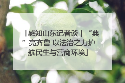 感知山东记者谈｜“典”亮齐鲁 以法治之力护航民生与营商环境
