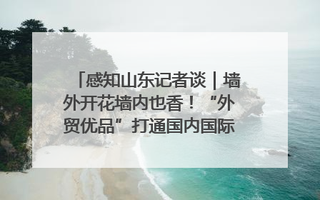 感知山东记者谈｜墙外开花墙内也香！“外贸优品”打通国内国际市场“旋转门”