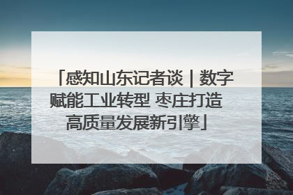 感知山东记者谈｜数字赋能工业转型 枣庄打造高质量发展新引擎