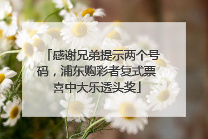 感谢兄弟提示两个号码，浦东购彩者复式票喜中大乐透头奖