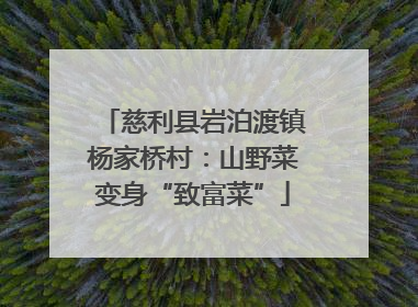 慈利县岩泊渡镇杨家桥村：山野菜变身“致富菜”