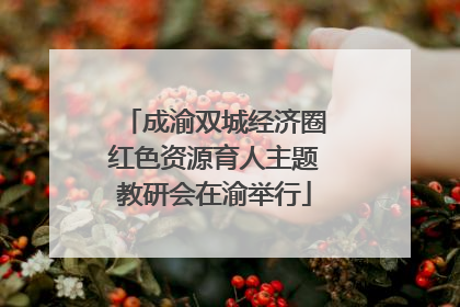 成渝双城经济圈红色资源育人主题教研会在渝举行