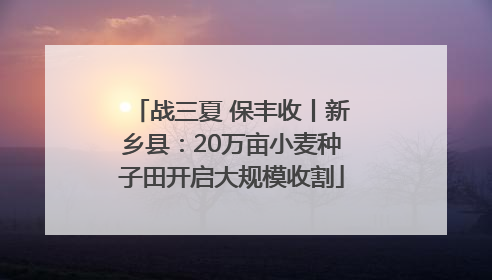 战三夏 保丰收丨新乡县：20万亩小麦种子田开启大规模收割