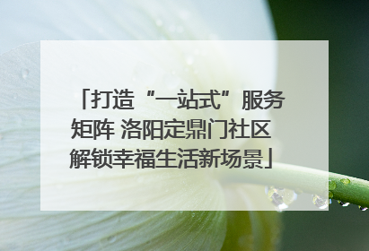 打造“一站式”服务矩阵 洛阳定鼎门社区解锁幸福生活新场景