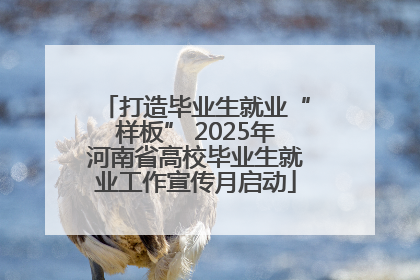 打造毕业生就业“样板” 2025年河南省高校毕业生就业工作宣传月启动